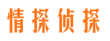 刚察市侦探调查公司